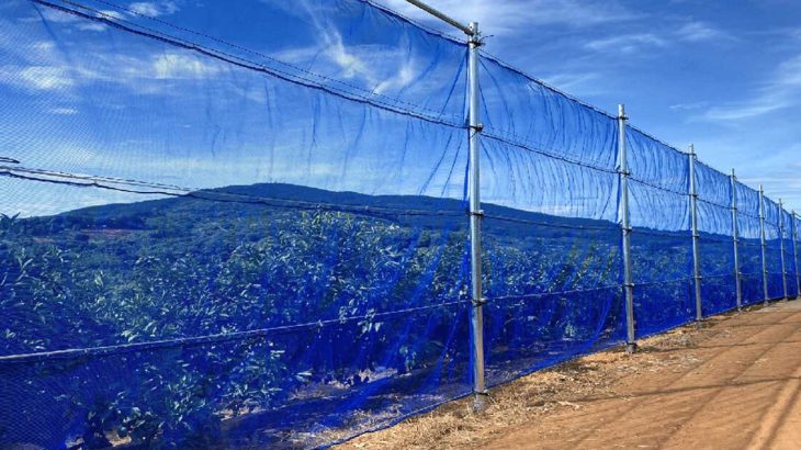 【施工事例】斜面や狭い畑の防風に！控え柱不要の防風ネット「自立くん」