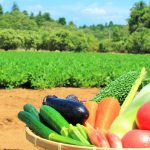 6月～7月からでも間に合う！短時間で育つオススメ野菜【家庭菜園にも最適】