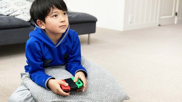 サブカルから農業を始めよう。SWITCH2『牧場物語』発売決定！