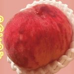 【ふるさと納税】山梨県のおすすめ桃！新品種・夢桃香を実食