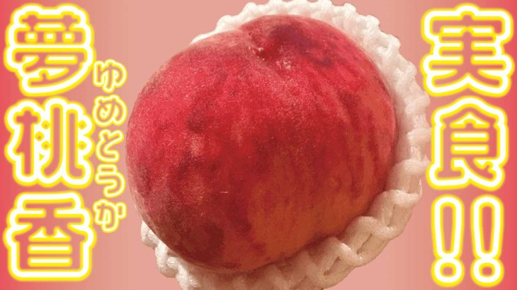 【ふるさと納税】山梨県のおすすめ桃！新品種・夢桃香を実食