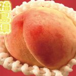 【ふるさと納税】福島の人気桃、「あかつき」を実食レビュー！