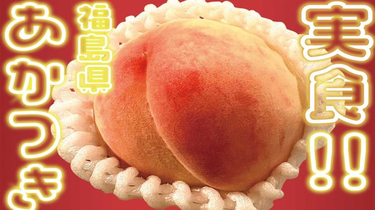 【ふるさと納税】福島の人気桃、「あかつき」を実食レビュー！