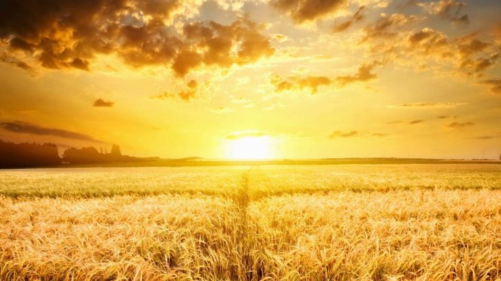 世界の農耕神・農業神まとめ｜大地と実りを司る神々の物語