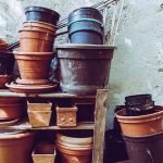 家庭菜園の冬支度｜11月に植えたい野菜とプランターの霜対策