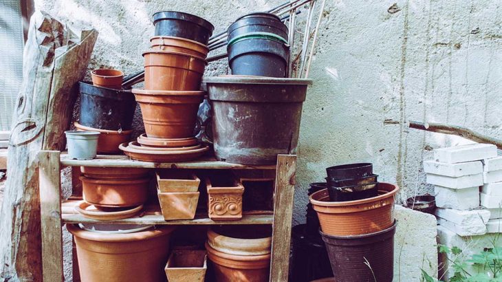 家庭菜園の冬支度｜11月に植えたい野菜とプランターの霜対策