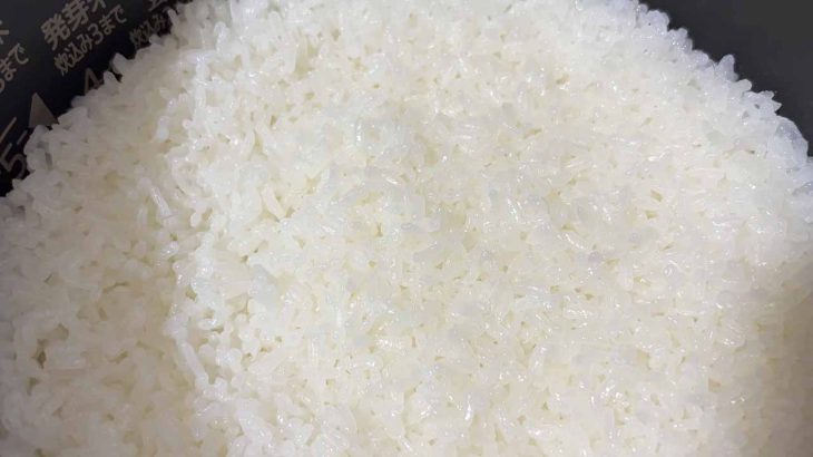 古米の方が美味しい？新米が売れない、新米と古米の違いを解説！