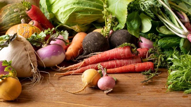 1月～2月から始める！冬でも失敗しないオススメ野菜5選【家庭菜園】