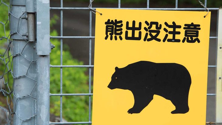 人里のクマ｜住宅まわりの「クマ対策」と安全行動ガイド