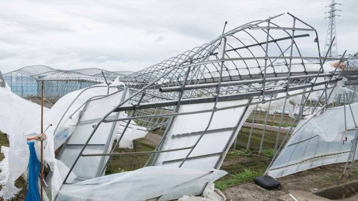 【5分でわかる】ビニールハウスの強風対策｜台風・突風で壊れない補強アイテム