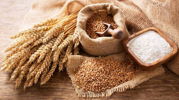 小麦の歴史｜世界中で姿を変え、広がり続ける「料理を支える魔法の食材」