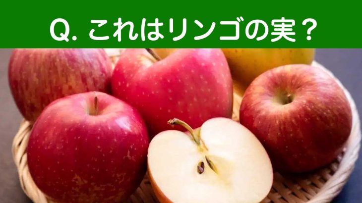 リンゴは果実ではなく茎？見方が変わる意外な植物学