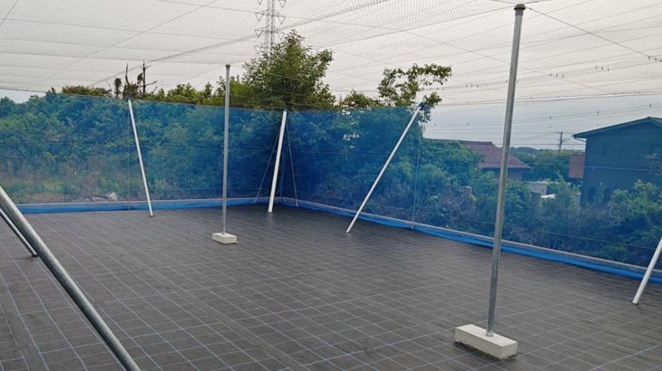 【施工事例】ブルーベリー栽培｜鳥害、獣害、風害を防ぐ果樹棚の設営