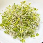 スルフォラファンとは？ブロッコリースプラウトの効果と摂取タイミング