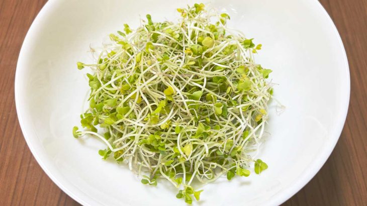 スルフォラファンとは？ブロッコリースプラウトの効果と摂取タイミング