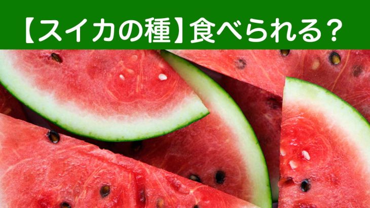 スイカの種は食べられる？栄養と食べ方まとめ